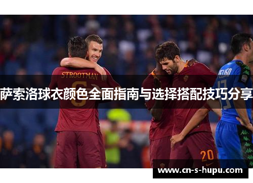 萨索洛球衣颜色全面指南与选择搭配技巧分享
