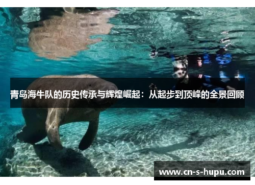 青岛海牛队的历史传承与辉煌崛起：从起步到顶峰的全景回顾